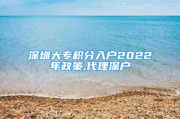 深圳大专积分入户2022年政策,代理深户