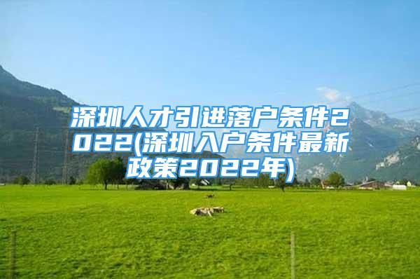 深圳人才引进落户条件2022(深圳入户条件最新政策2022年)