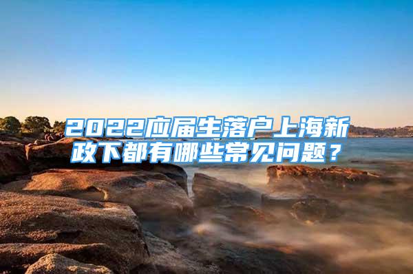 2022应届生落户上海新政下都有哪些常见问题？