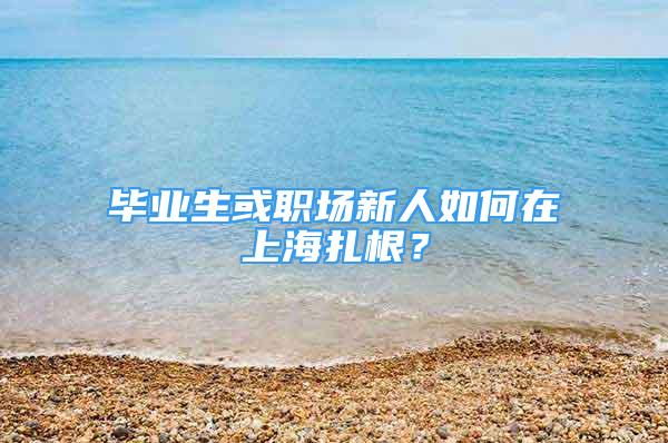 毕业生或职场新人如何在上海扎根？