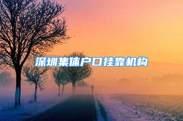 深圳集体户口挂靠机构