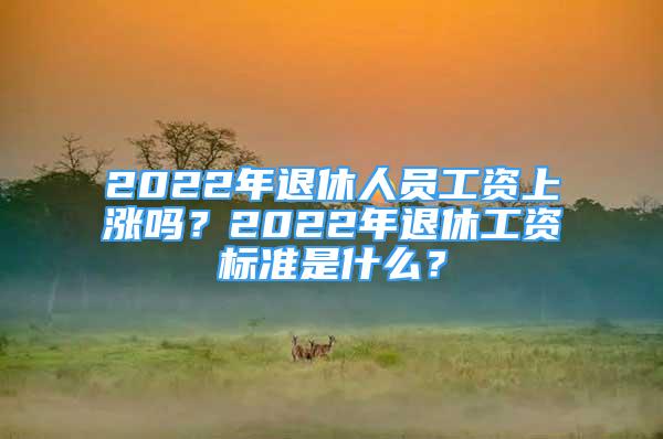 2022年退休人员工资上涨吗？2022年退休工资标准是什么？