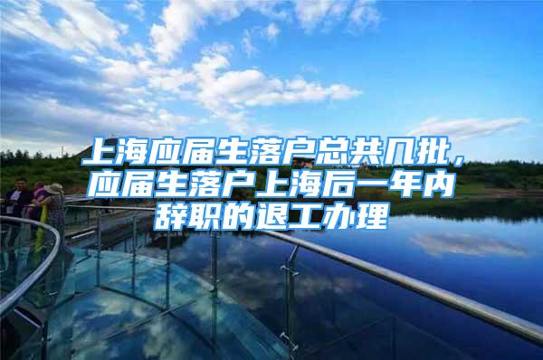 上海应届生落户总共几批，应届生落户上海后一年内辞职的退工办理