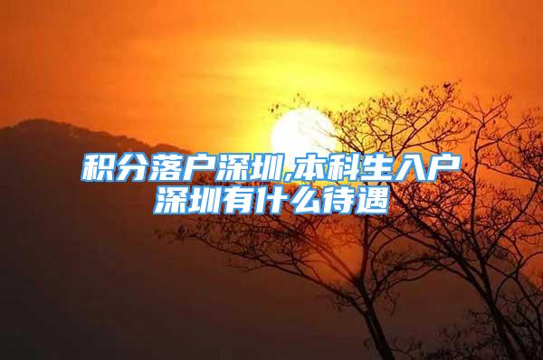 积分落户深圳,本科生入户深圳有什么待遇