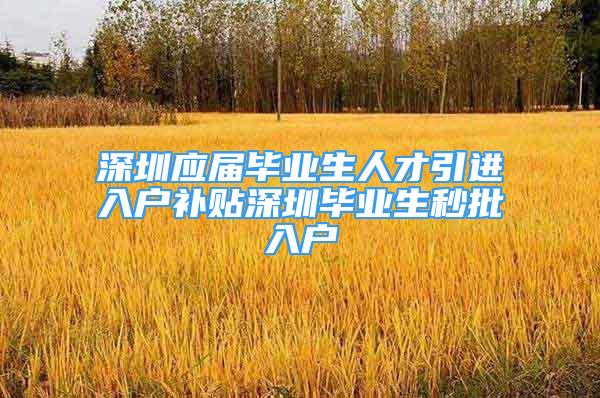 深圳应届毕业生人才引进入户补贴深圳毕业生秒批入户