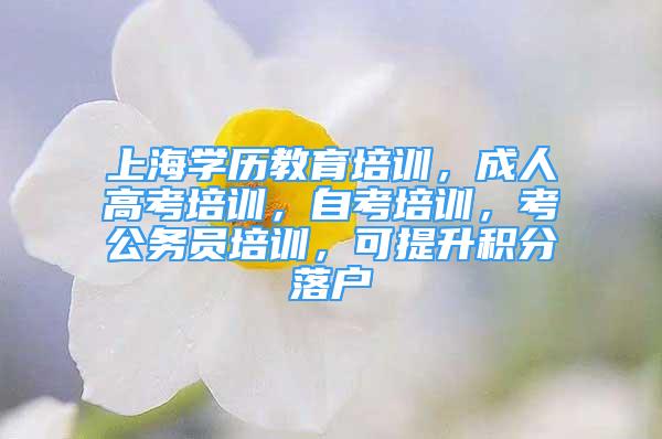 上海学历教育培训，成人高考培训，自考培训，考公务员培训，可提升积分落户