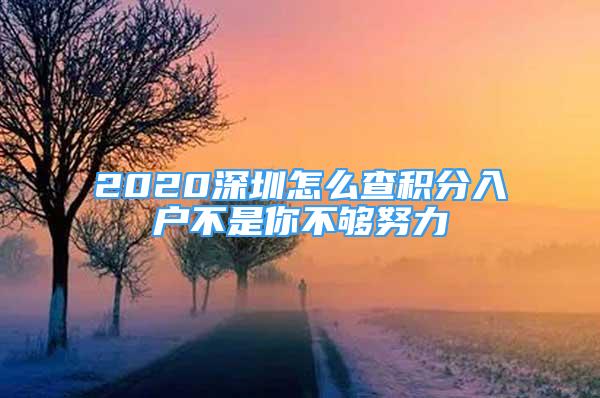 2020深圳怎么查积分入户不是你不够努力