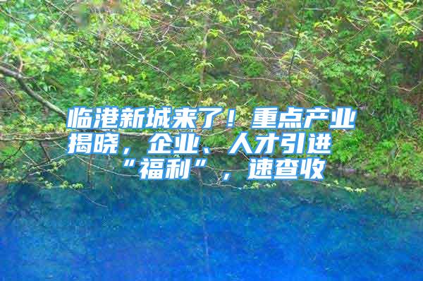 临港新城来了！重点产业揭晓，企业、人才引进“福利”，速查收→