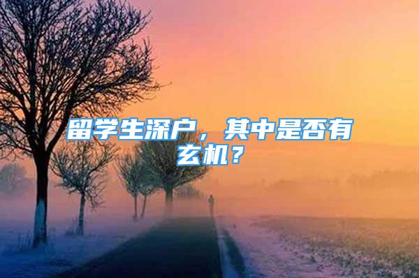 留学生深户，其中是否有玄机？