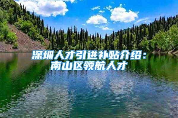 深圳人才引进补贴介绍：南山区领航人才