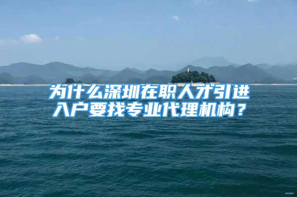 为什么深圳在职人才引进入户要找专业代理机构？