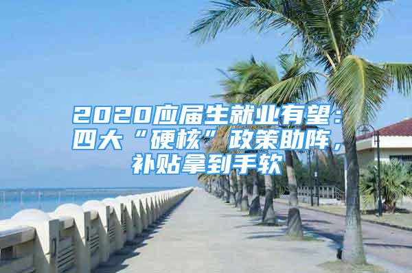 2020应届生就业有望：四大“硬核”政策助阵，补贴拿到手软