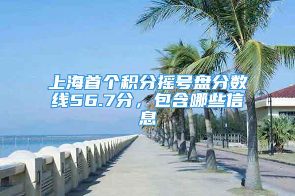 上海首个积分摇号盘分数线56.7分，包含哪些信息