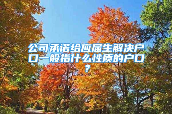 公司承诺给应届生解决户口一般指什么性质的户口？