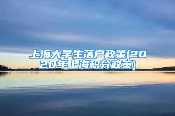 上海大学生落户政策(2020年上海积分政策)