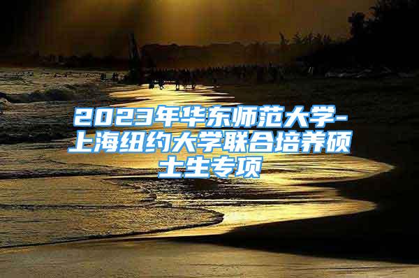 2023年华东师范大学-上海纽约大学联合培养硕士生专项