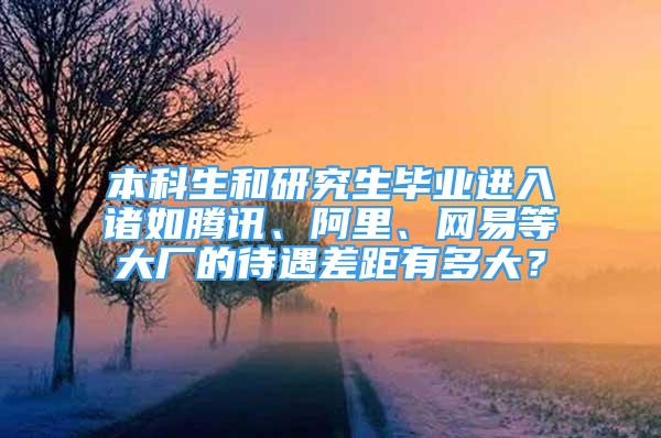 本科生和研究生毕业进入诸如腾讯、阿里、网易等大厂的待遇差距有多大？