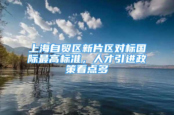 上海自贸区新片区对标国际最高标准，人才引进政策看点多