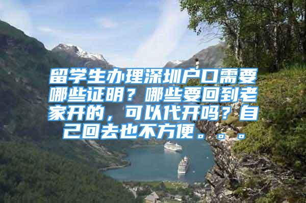 留学生办理深圳户口需要哪些证明？哪些要回到老家开的，可以代开吗？自己回去也不方便。。。