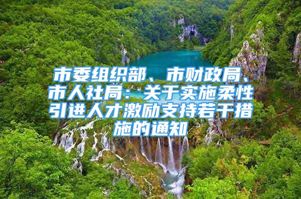 市委组织部、市财政局、市人社局：关于实施柔性引进人才激励支持若干措施的通知