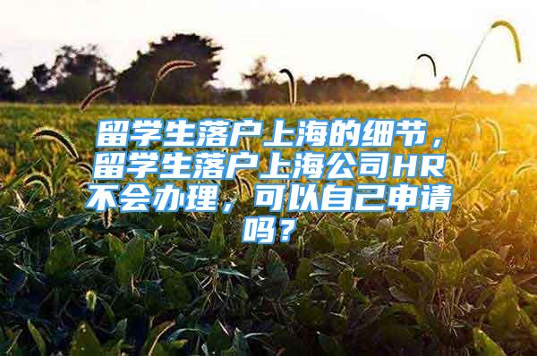 留学生落户上海的细节，留学生落户上海公司HR不会办理，可以自己申请吗？