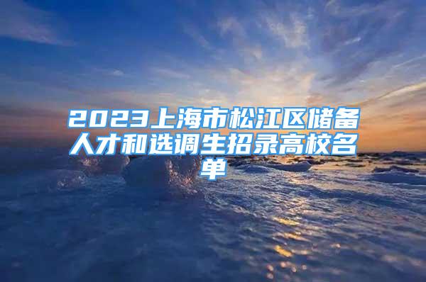 2023上海市松江区储备人才和选调生招录高校名单