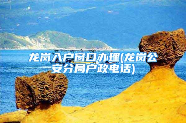 龙岗入户窗口办理(龙岗公安分局户政电话)