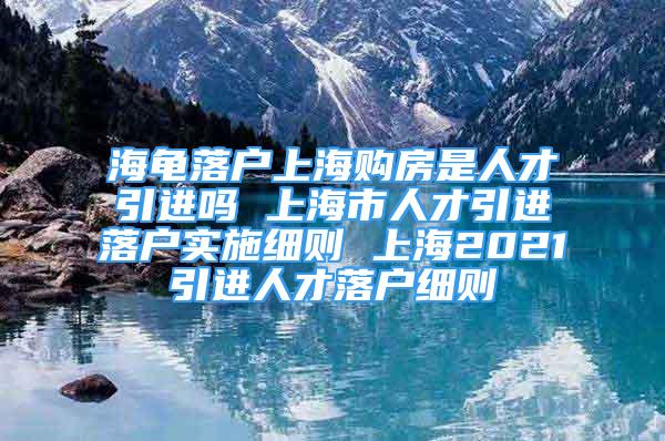 海龟落户上海购房是人才引进吗 上海市人才引进落户实施细则 上海2021引进人才落户细则