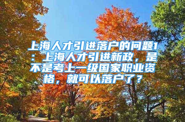 上海人才引进落户的问题1：上海人才引进新政，是不是考上一级国家职业资格，就可以落户了？