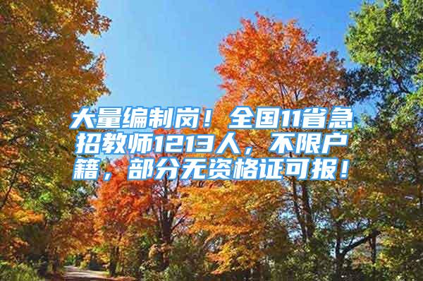 大量编制岗！全国11省急招教师1213人，不限户籍，部分无资格证可报！