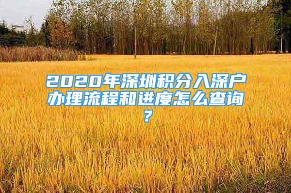 2020年深圳积分入深户办理流程和进度怎么查询？