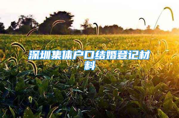 深圳集体户口结婚登记材料