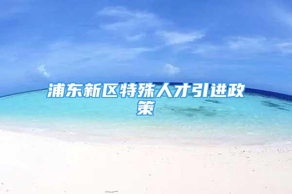 浦东新区特殊人才引进政策