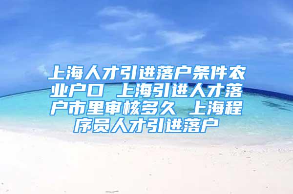 上海人才引进落户条件农业户口 上海引进人才落户市里审核多久 上海程序员人才引进落户