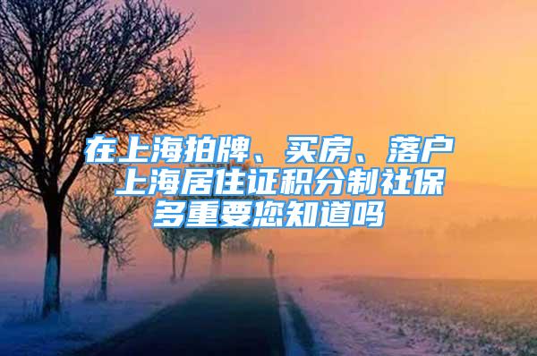 在上海拍牌、买房、落户 上海居住证积分制社保多重要您知道吗