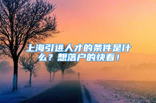 上海引进人才的条件是什么？想落户的快看！