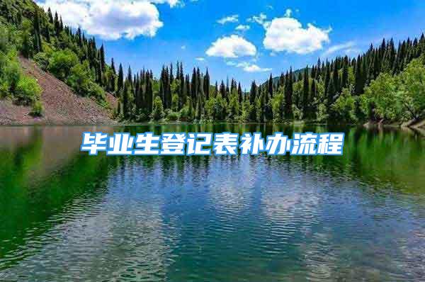 毕业生登记表补办流程