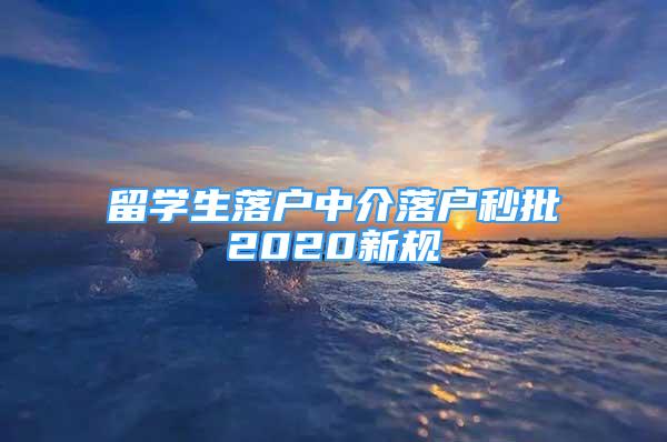 留学生落户中介落户秒批2020新规