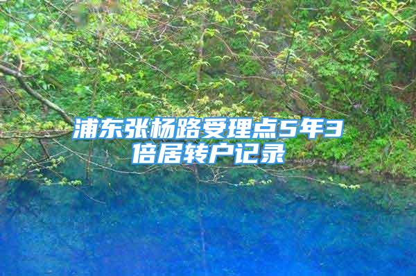 浦东张杨路受理点5年3倍居转户记录