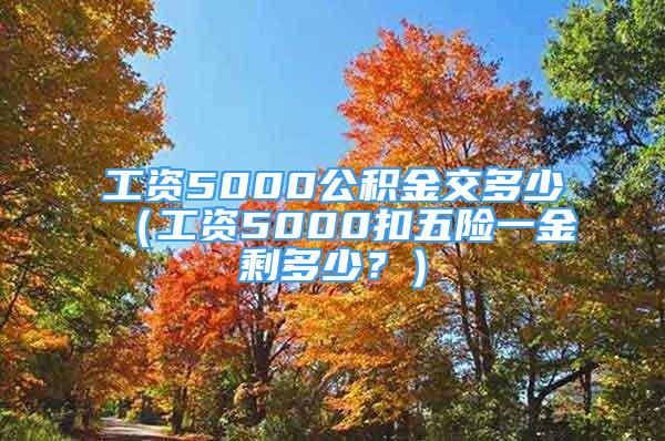 工资5000公积金交多少（工资5000扣五险一金剩多少？）