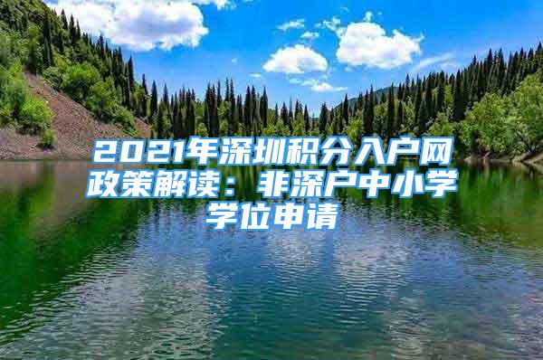 2021年深圳积分入户网政策解读：非深户中小学学位申请