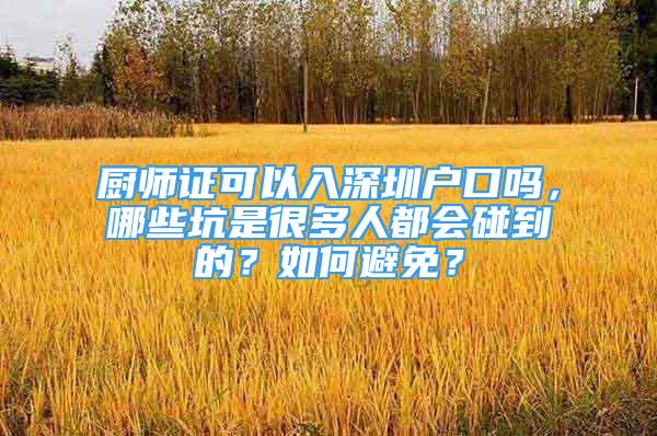 厨师证可以入深圳户口吗，哪些坑是很多人都会碰到的？如何避免？