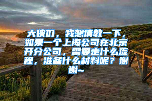 大侠们，我想请教一下，如果一个上海公司在北京开分公司，需要走什么流程，准备什么材料呢？谢谢~