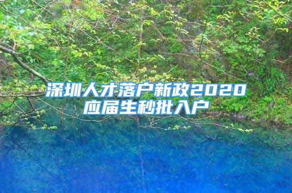 深圳人才落户新政2020应届生秒批入户