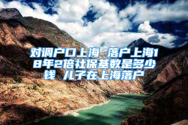 对调户口上海 落户上海18年2倍社保基数是多少钱 儿子在上海落户