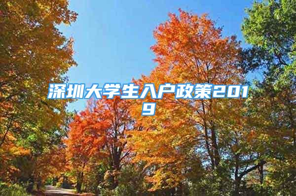 深圳大学生入户政策2019