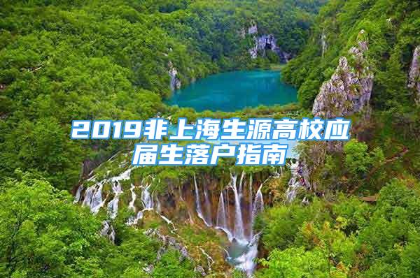 2019非上海生源高校应届生落户指南