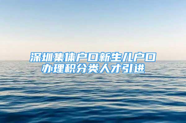 深圳集体户口新生儿户口办理积分类人才引进