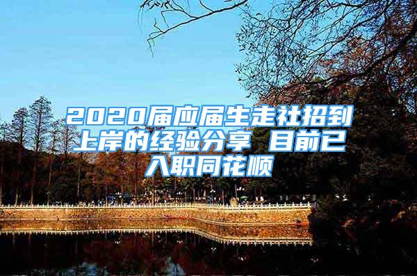 2020届应届生走社招到上岸的经验分享 目前已入职同花顺