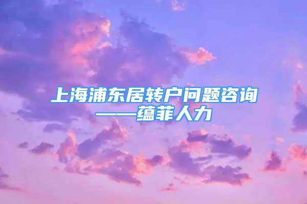 上海浦东居转户问题咨询——蕴菲人力